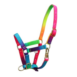 Foal Halters